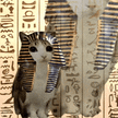 meowl yes